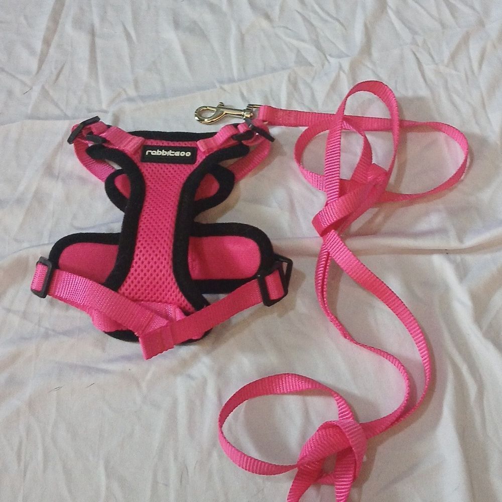 Cat Harness  Leash for Walking, Escape Proof Soft Adjustable Vest Harness Sz XXS